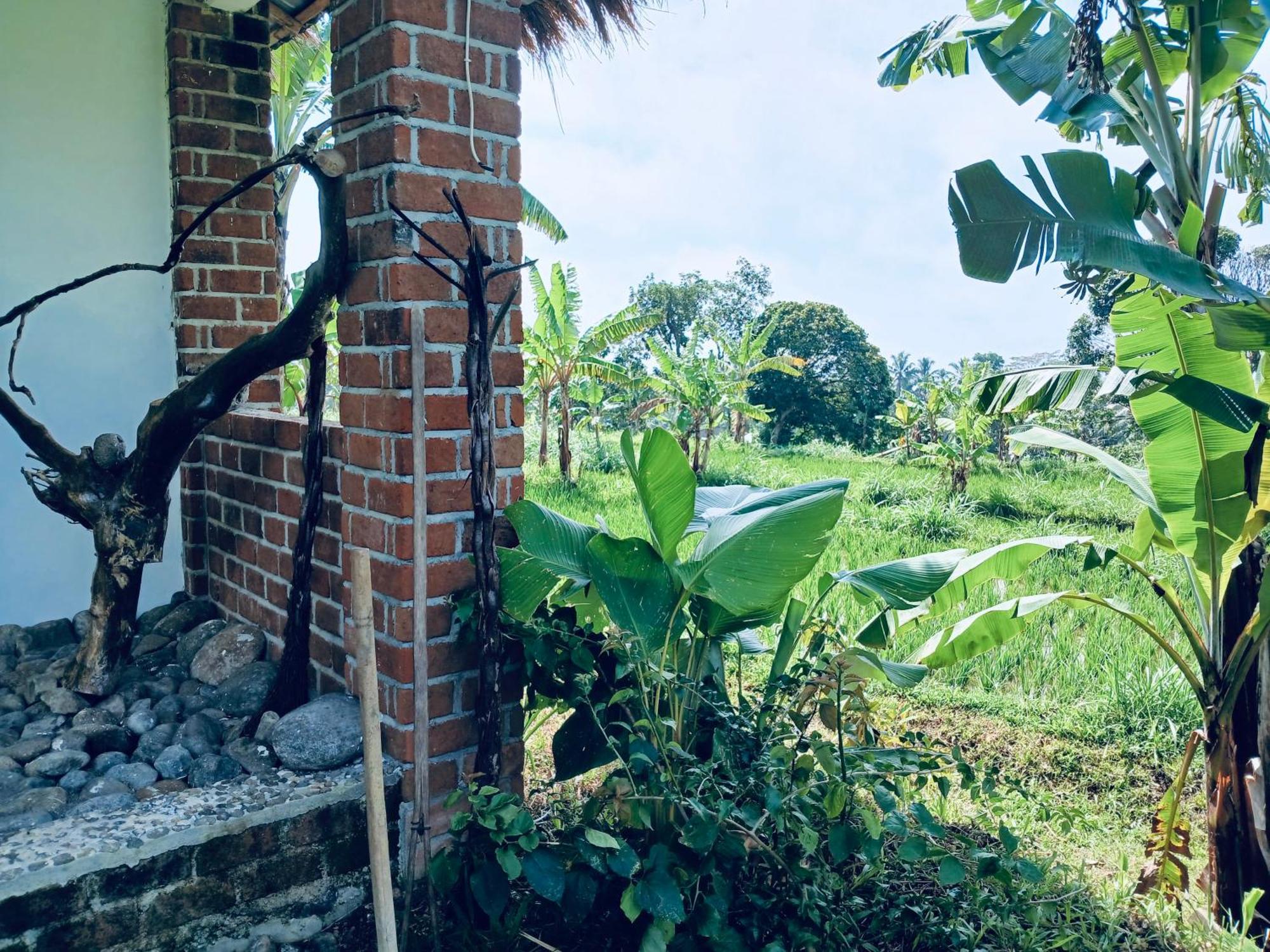 Opik Homestay Tete Batu Tetebatu Exterior photo